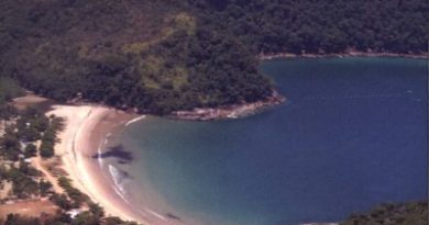 Territórios em Disputa: do impasse ao jogo compartilhado entre técnicos e residentes no Parque Estadual da Serra do Mar