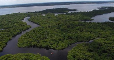 Governança da Amazônia para viabilizar transformações para a sustentabilidade