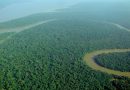 Políticas públicas baseadas na ciência são importantes para lidar com a Amazônia em transição