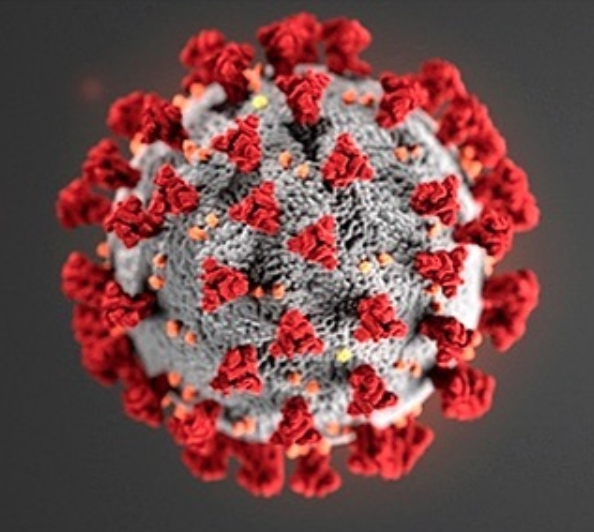 Coronavirus