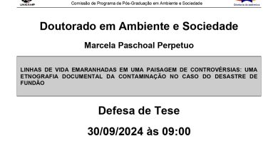 Defesa de Tese Marcela Paschoal Perpetuo