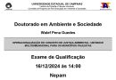 Defesa de Tese Walef Pena Guedes