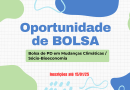 Oportunidade de Bolsa