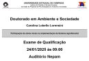 Exame de Qualificação de Carolina Lobello Lorensini