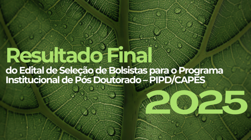 Resultado Final