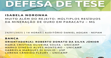Defesa de Tese de Isabela Noronha no dia 24/07/2025 às 14h
